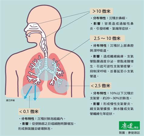 油煙對身體影響